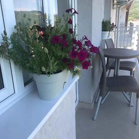 сонячне закарпаття Apartment *