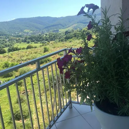 Appartement сонячне закарпаття *