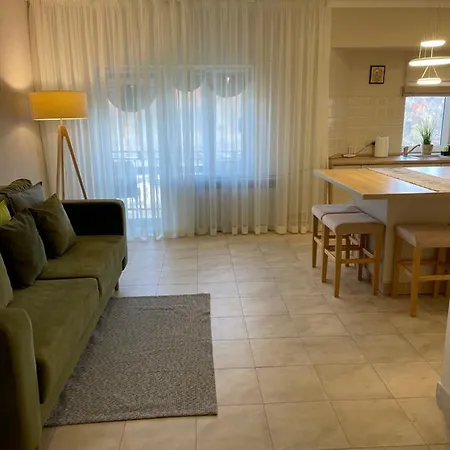 Appartement сонячне закарпаття *