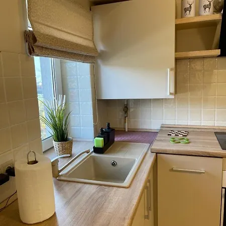 сонячне закарпаття Appartement Polyana (Transcarpathia)