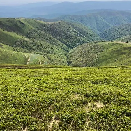 Appartement сонячне закарпаття Polyana (Transcarpathia)