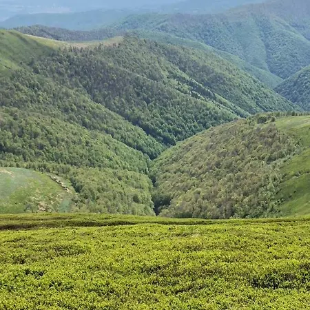 сонячне закарпаття Апартаменты *