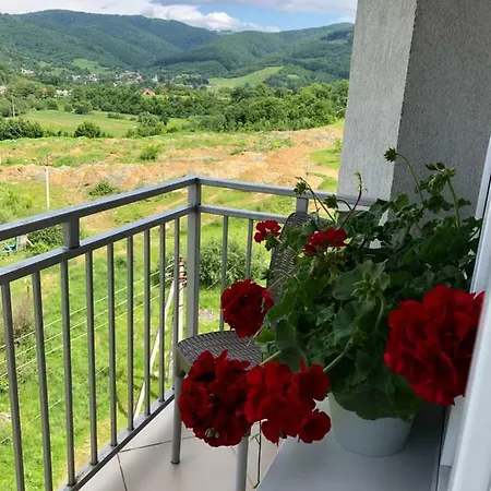 сонячне закарпаття *