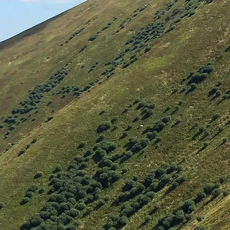 сонячне закарпаття