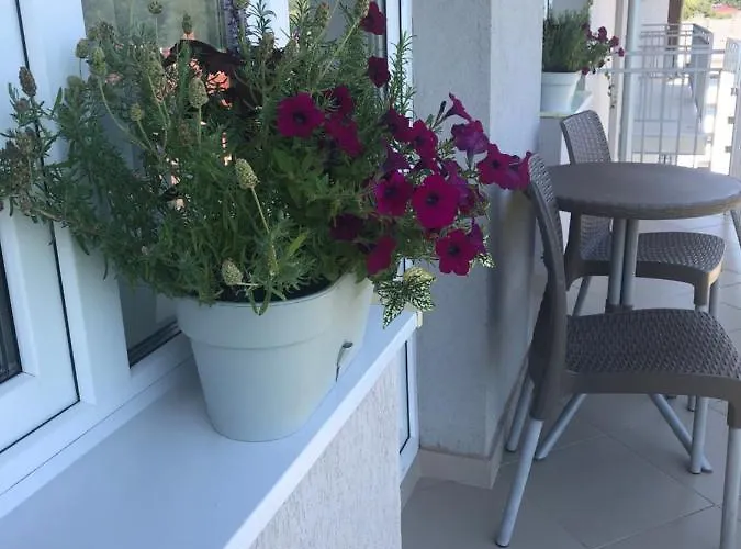 сонячне закарпаття Apartment *