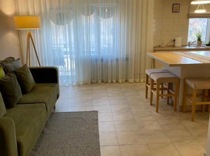 Apartment сонячне закарпаття *