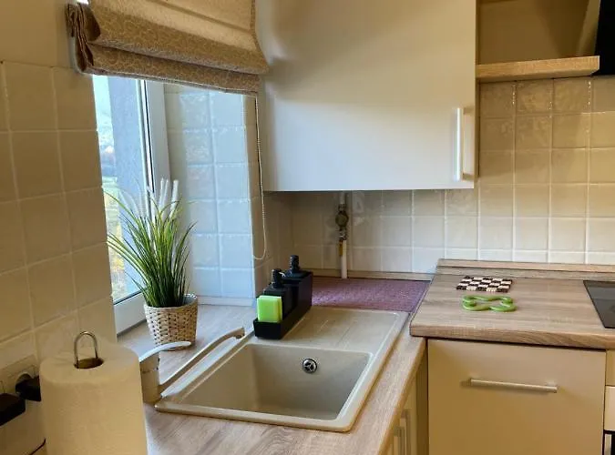 сонячне закарпаття Apartment Polyana (Transcarpathia)