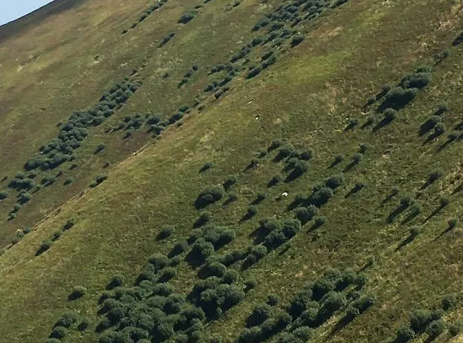 сонячне закарпаття